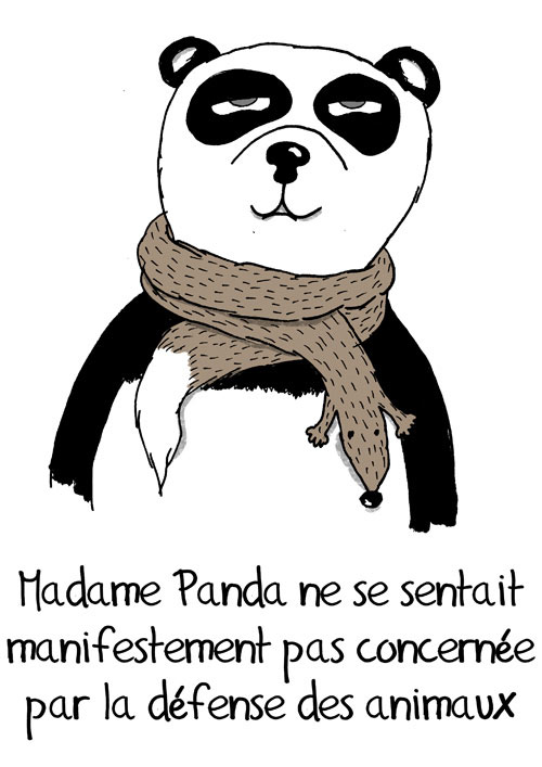 L'avis de Madame Panda